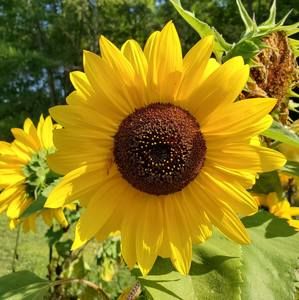 Meet your Posher, Cheryl